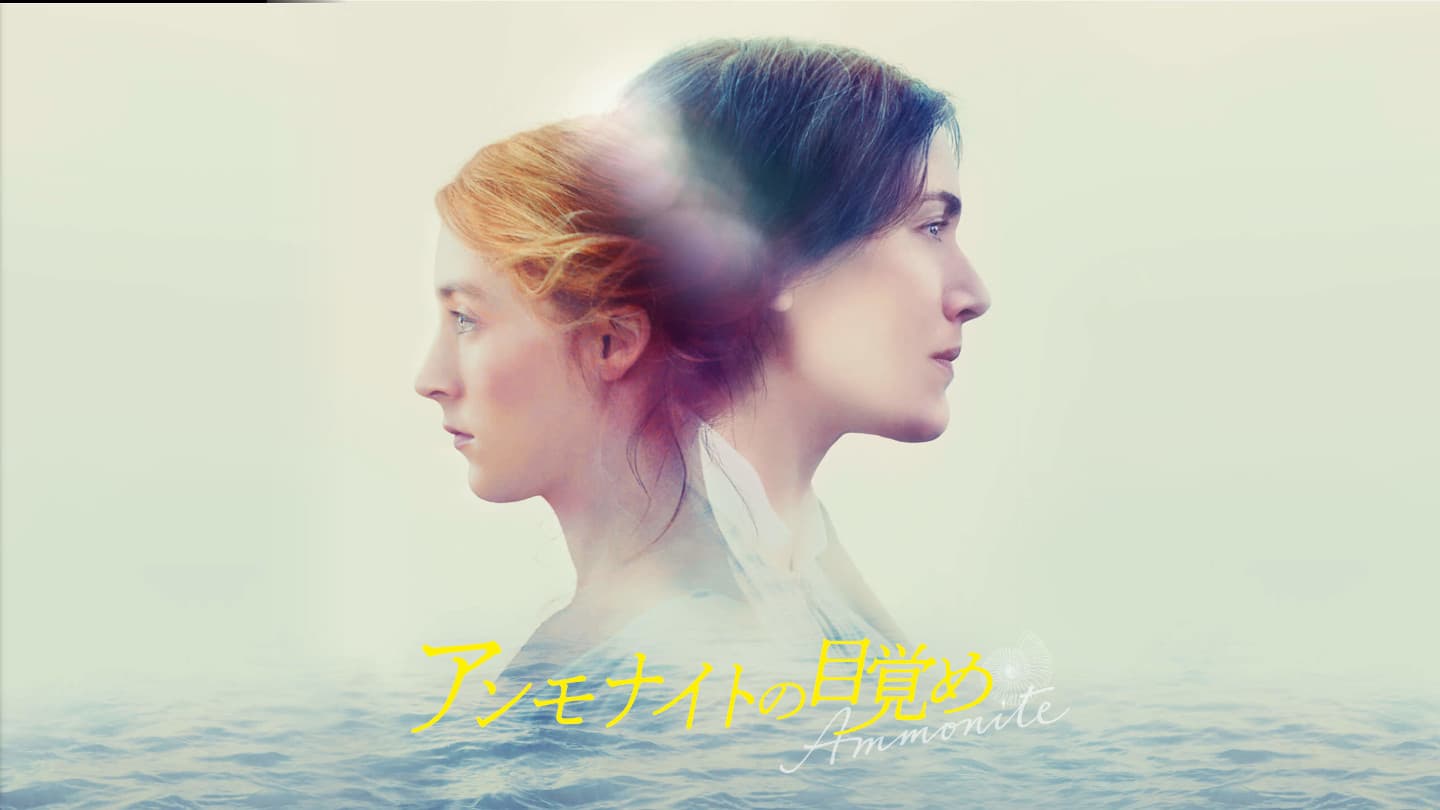 アンモナイトの目覚め
