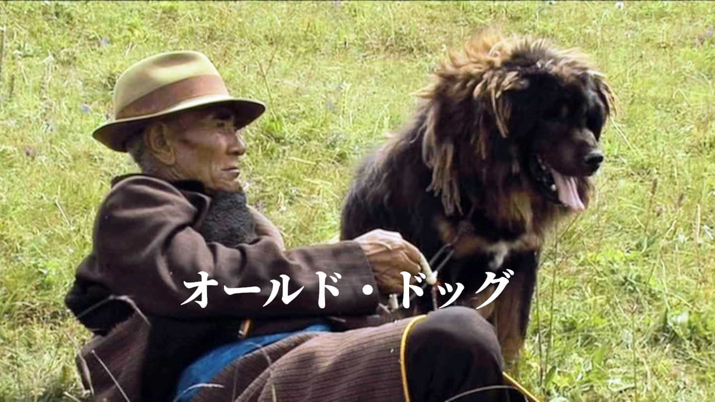 オールド・ドッグ